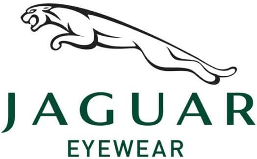 Jaguar Eyewear Logo Jaguar Eyewear Logo